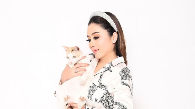 Sempat Viral Papan Larangan, Warga Kelapa Gading Kini Bebas Kembali Beri Makan Kucing Jalanan