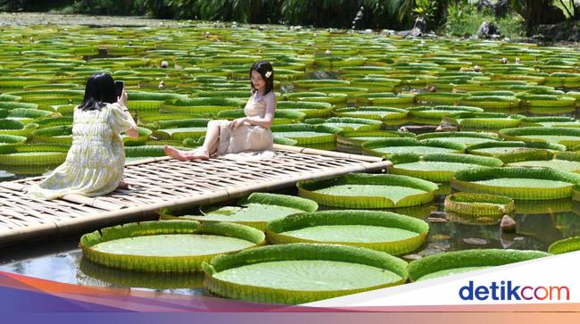 Kota di China Ini Bebas Visa untuk WNI Lho…