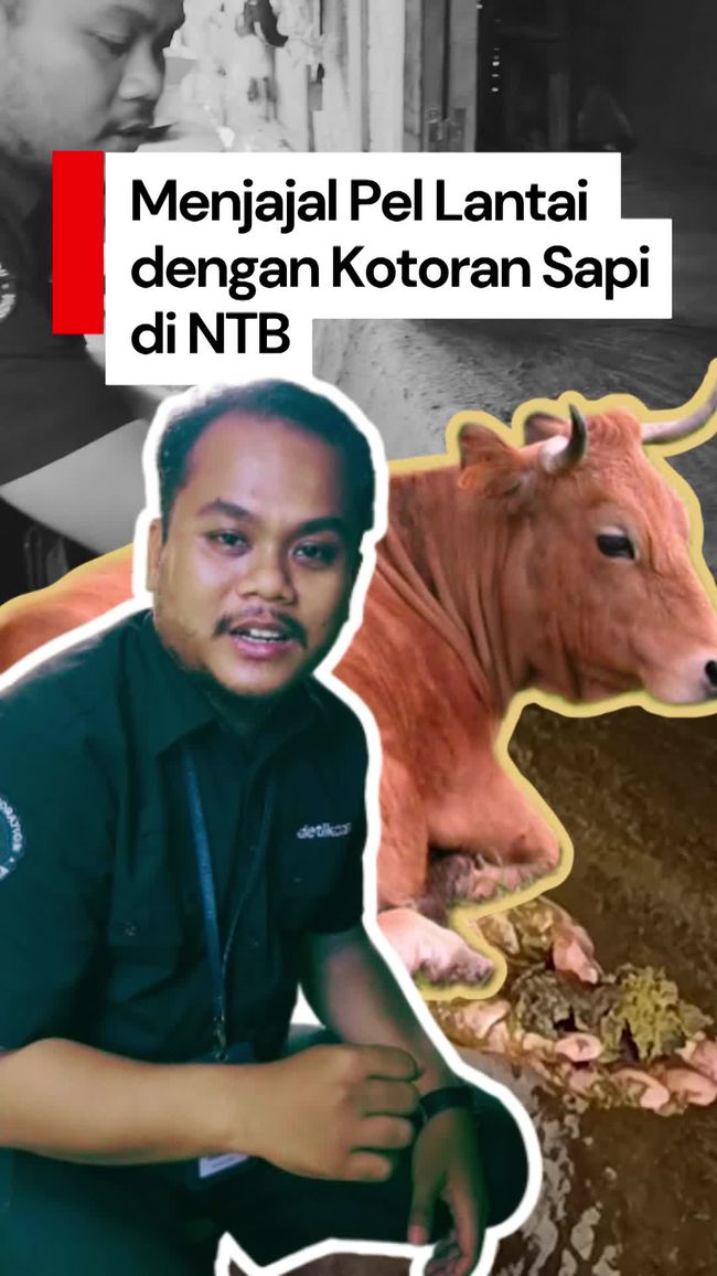 Video: Menjajal 'Belulut', Tradisi Desa Sade NTB Pel Lantai dengan Kotoran Sapi